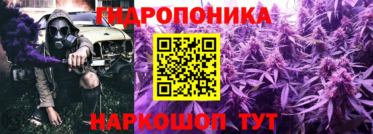 Марихуана планчик  Шишки марихуана планчик  Вход с VPN  Каннабис конопля  Бошки марихуана конопля  Первоуральск 